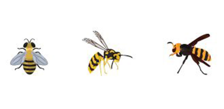 Insektenschutz bei Bienen, Wespen & Hornissen