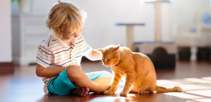 Abbildung: Mit einer Tierhaarallergie richtig umgehen