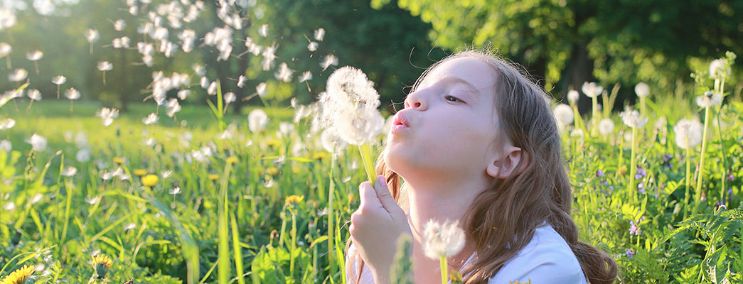Hilfe bei Allergien