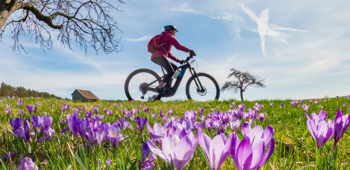 Abbildung: Frühjahrsmüdigkeit – Tipps für mehr Energie