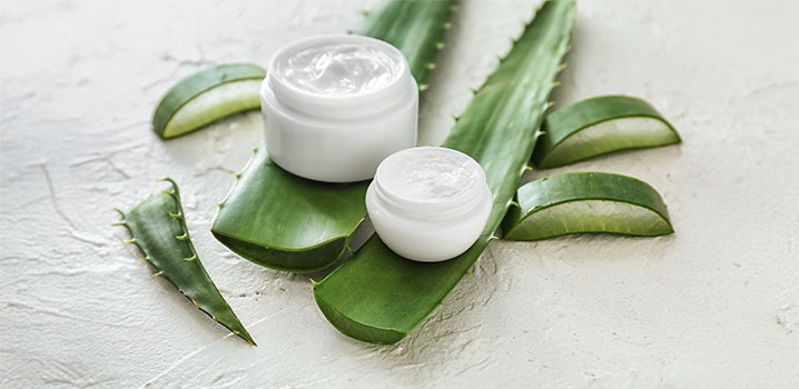 Aloe Vera Blätter und Tiegel mit Salbe und Hautcreme