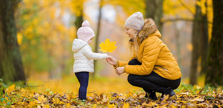 AdobeStock_271538388_Preview